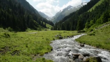 Orman ve vahşi akışı Zillertal Valley Schwarzachtal (Avusturya)