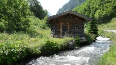 Orman ve vahşi akışı Zillertal Valley Schwarzachtal (Avusturya)