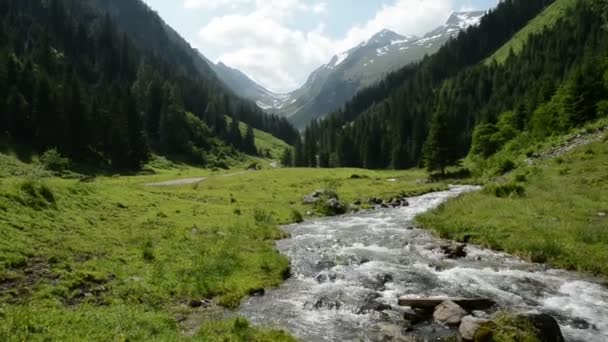 Лес и дикий ручей в долине Циллерталь Schwarzachtal (Австрия ) — стоковое видео