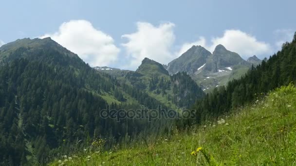 Floresta e vale de Zillertal Schwarzachtal (Áustria ) — Vídeo de Stock