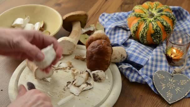 Limpieza de bollo de centavo setas con cuchillo para cocinar una comida . — Vídeos de Stock