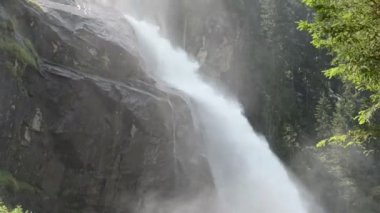 Krimml şelaleler Pinzgau, Avusturya Salzburger arazi içinde. Avrupa Alpleri manzara orman ile.