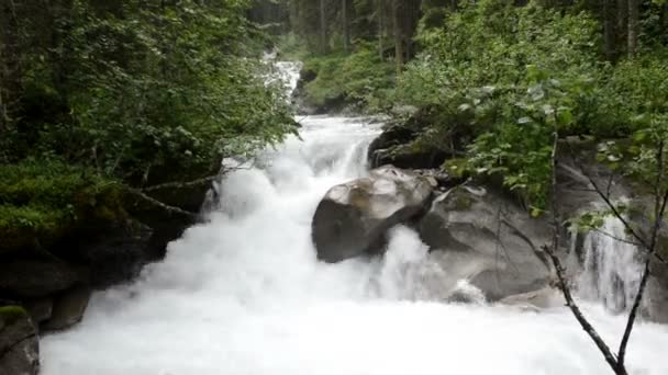 Gerlos stream stromen echter de Wild-Gerlostal vallei in Tirol / Oostenrijk. — Stockvideo