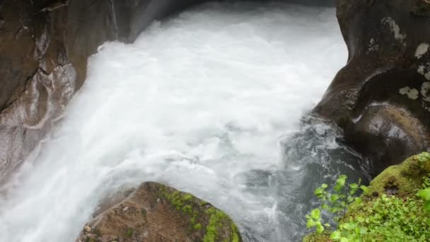 Ruisseau Gerlos traversant la vallée sauvage de Gerlostal au Tyrol / Autriche . — Video