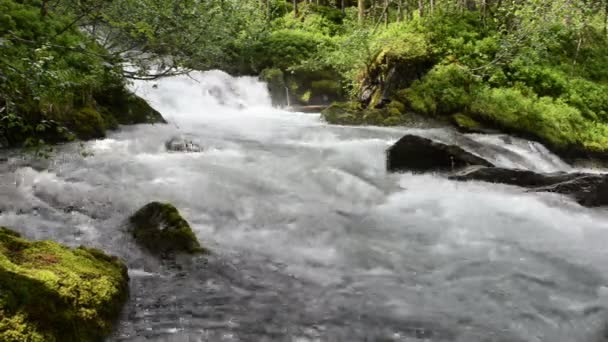 Gerlos stream flowing though the Wild-Gerlostal valley in Tirol/ Austria. — Stock Video