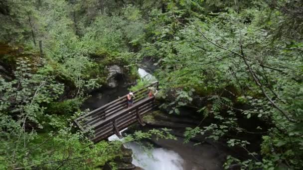 Túrázás: Gerlostal völgye-Zillertal területén a gerlos-patak mentén. — Stock videók