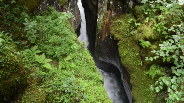 Перегляд у воду м Wild-Gerlostal-Leiternkammerklamm ущелині (Тіроль / Австрія). — стокове відео