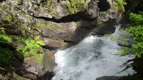 Pinzgau、オーストリアのザルツブルクで美術史。フォレストとヨーロッパ ・ アルプスの風景. — ストック動画