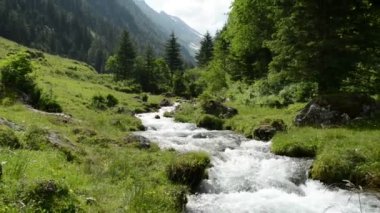 Zillertal Alps su ama stream orman ve dağlar. Hohe Tauern ulus Parkı. Schwarzachtal.