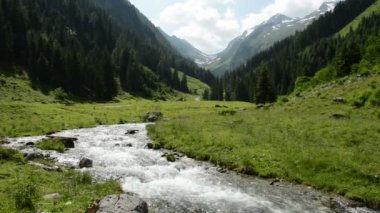 Zillertal Alps su ama stream orman ve dağlar. Hohe Tauern ulus Parkı. Schwarzachtal.