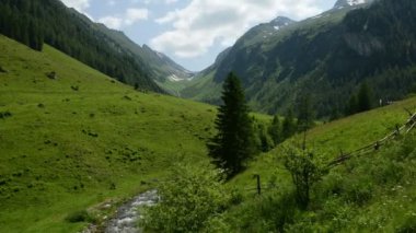 Zillertal Alps su ama stream orman ve dağlar. Hohe Tauern ulus Parkı. Schwarzachtal.