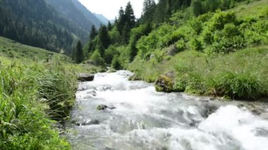 Zillertal Alps su ama stream orman ve dağlar. Hohe Tauern ulus Parkı. Schwarzachtal.