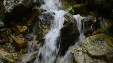 Su küçük şelale Zillertal Alps akışını yine de orman ve dağlar. Hohe Tauern ulus Parkı.