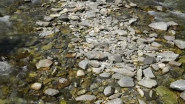 Yine de Zillertal Alps orman ve dağlar akan Gerlos nehir. Hohe Tauern ulus Parkı.