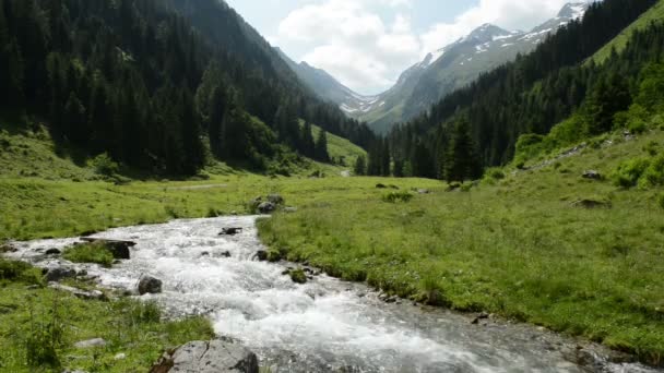 Zillertal Alpes água corrente através de floresta e montanhas. Parque Nacional Hohe Tauern. Schwarzachtal . — Vídeo de Stock