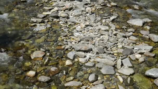 Rio Gerlos fluindo através da floresta e montanhas dos Alpes Zillertais. Hohe Tauern parque nacional . — Vídeo de Stock