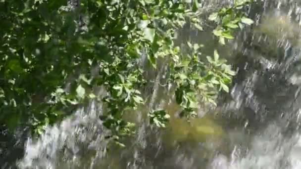 Gerlos River flowing through Zillertal Alps  Twig in front. Hohe Tauern nation park. — Stock Video