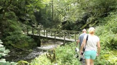  Vahşi Endert'in akışı Moselle Nehri şehir Cochem (Almanya) doğru Valley hiking insanlar. Wilde Endert'in.