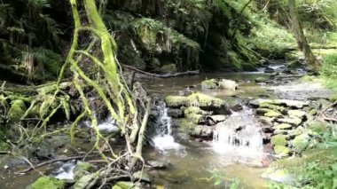akan akım Wilde Endert'in Martental Valley kasaba Cochem adlı Mosel Nehri'nin (Almanya yanında).
