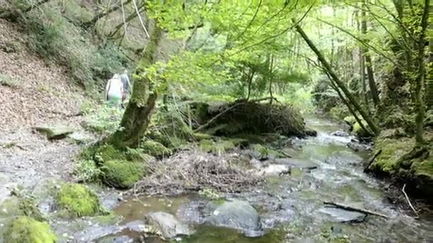 Gente caminando a través del valle del arroyo salvaje hacia la ciudad del río Mosela Cochem (Alemania). Wilde Endert . — Vídeo de stock