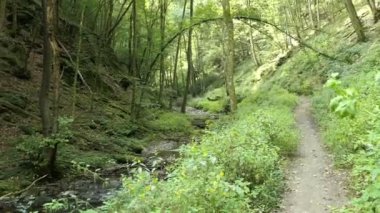 vahşi Endert'in akışı Moselle Nehri şehir Cochem (Almanya) doğru Vadisi üzerinden yol hiking. Wilde Endert'in