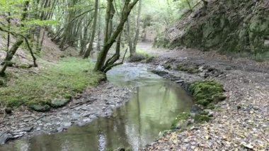 vahşi Endert'in akışı Moselle Nehri şehir Cochem (Almanya) doğru Vadisi üzerinden yol hiking. Wilde Endert'in