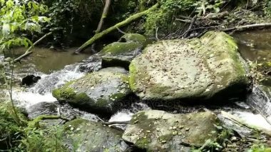  Vahşi Endert'in akışı Moselle Nehri şehir Cochem (Almanya) doğru Valley hiking insanlar. Wilde Endert'in.