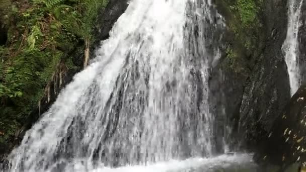 Besöka vattenfall die Rausch på vilda Endert stream bredvid Cochem, Mosel floden (Tyskland). — Stockvideo