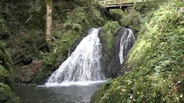 Şelale die Rausch'la vahşi Endert'in akışı Cochem, Mosel Nehri'nin (Almanya yanında ziyaret). — Stok video