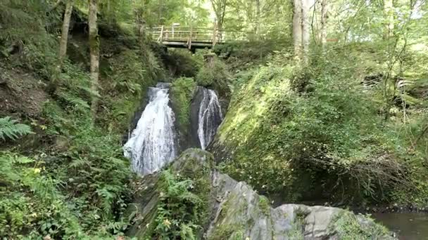 Visitando cascada die Rausch en el arroyo salvaje Endert junto a Cochem, río Mosel (Alemania ). — Vídeo de stock