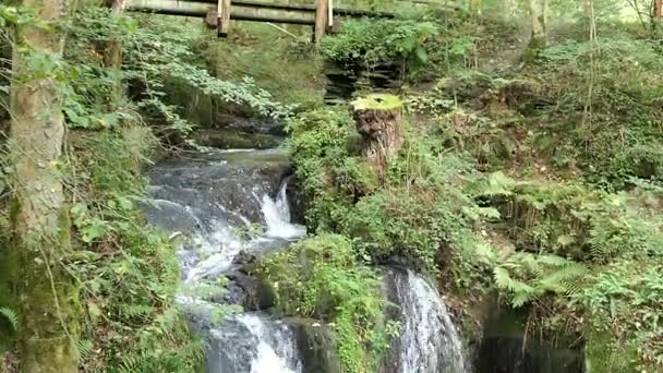 Visite de la cascade mourir Rausch à la nature ruisseau Endert à côté de Cochem, rivière Mosel (Allemagne ). 