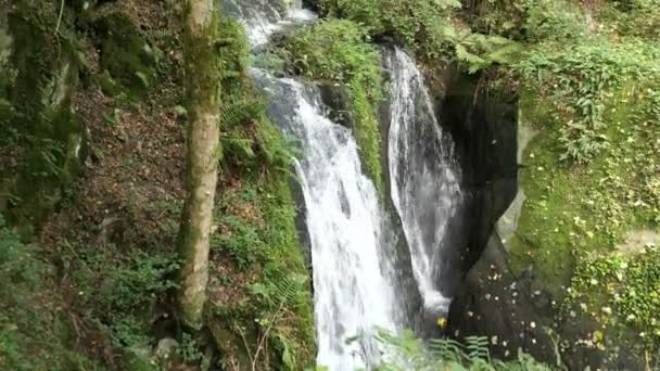 Wasserfall-Besuch am Wildbach bei Cochem, Mosel (Deutschland)). — Stockvideo