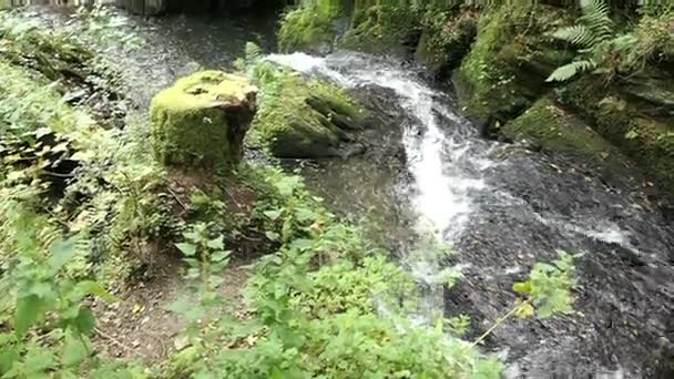Visiting waterfall die Rausch at wild Endert stream next to Cochem, Mosel River (Germany). — Stock Video