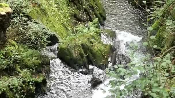 Menschen, die durch das Märtyrertal des Wildbachs in Richtung Moselstadt Cochem wandern. Wasserfall stirbt im Rausch. — Stockvideo