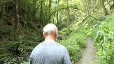  Vahşi Endert'in akışı Moselle Nehri şehir Cochem (Almanya) doğru Valley hiking insanlar. Wilde Endert'in.