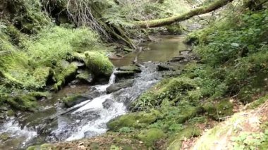 akan akım Wilde Endert'in Martental Valley kasaba Cochem adlı Mosel Nehri'nin (Almanya yanında).