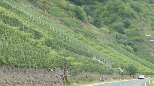 Körning med en bil längs regionen mosel floden bredvid Bernkastel-Kues (Tyskland). fält och byn i bakgrunden. landskap — Stockvideo