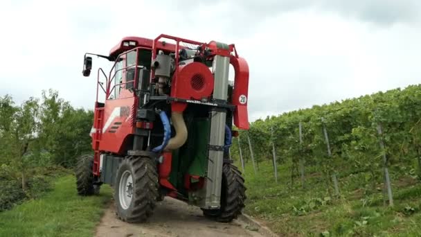 Bor betakarítás egy szőlőültetvényen Mosel folyó mentén, Németország. Gépi betakarítás, önjáró szőlő betakarító. — Stock videók