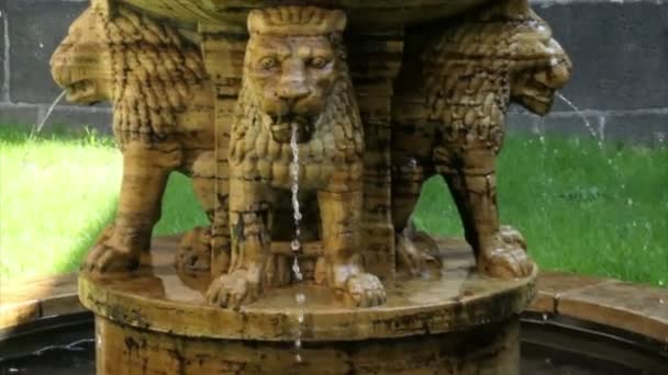 Lion fountain of Maria Laach monastery. (Rhineland-Palatinate Germany). — Stock Video