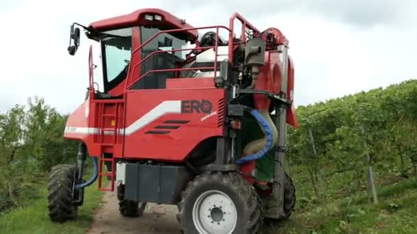 Vinskörden på en vingård vid Mosel-floden i Tyskland. Mekanisk skörd med självgående druva harvester. — Stockvideo