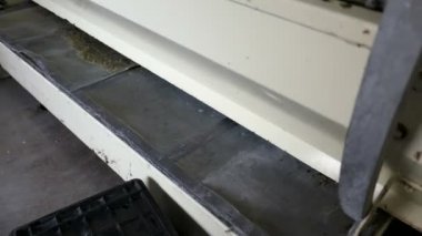 beyaz şarap üzüm suyu bir şarap mahzeni basın makinesinde kalmadı