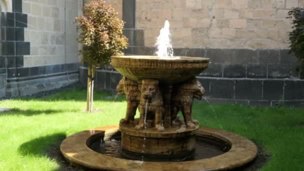 マリア ・ ラーハ修道院のライオンの噴水。(ラインラント = プファルツ州ドイツ). — ストック動画