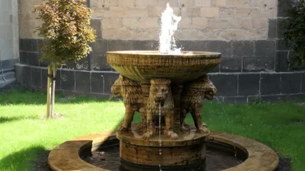 Lion fountain of Maria Laach monastery. (Rhineland-Palatinate Germany). — Stock Video
