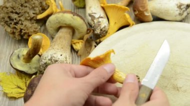 Altın Cantharellus cibarius mantar benzeri tablo temizleme. arka planda diğer kuruş topuz gibi mantar.