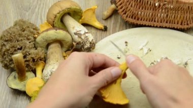 Altın Cantharellus cibarius mantar benzeri tablo temizleme. arka planda diğer kuruş topuz gibi mantar.