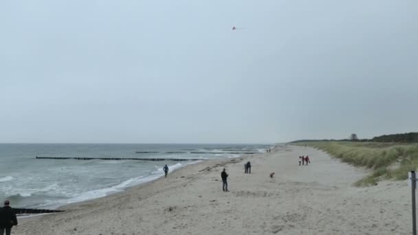 Sonbahar zamanında beach Graal Mueritz Tarih boyunca yürüyüş insanlar. güçlü dalgalar ile fırtınalı hava. geleneksel uçurtma üzerinde sky. — Stok video