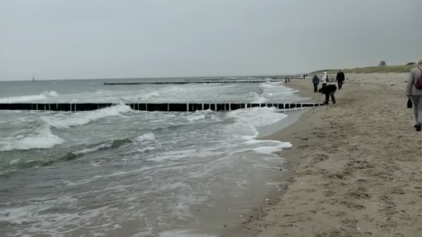 Mensen wandelen langs op het strand van Graal Mueritz herfst tijdig. stormachtig weer met sterke golven. traditioneel vliegers op sky. — Stockvideo