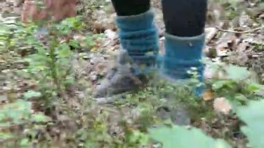 Ormanda mantar için gidiyor. Penny topuz toplama mantar. Onları bir bıçak ile hasat