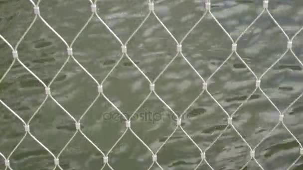 Metalen raster. hek tegen water. natuurlijke achtergrond — Stockvideo