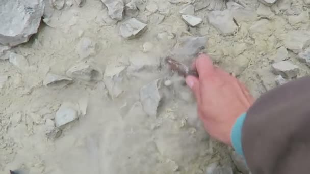 Cleaning fossilized belemnite in water. chalk quarry. — Stock Video